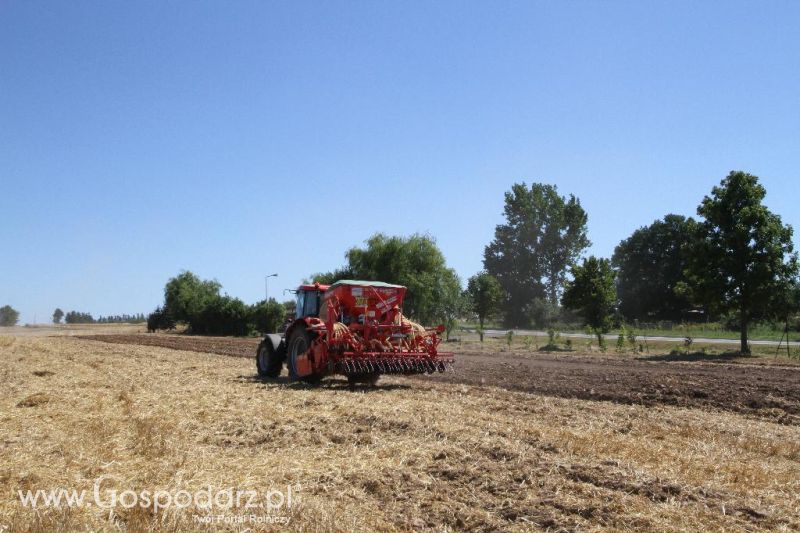 Zetor Family Tractor Show 2013 - Opatów