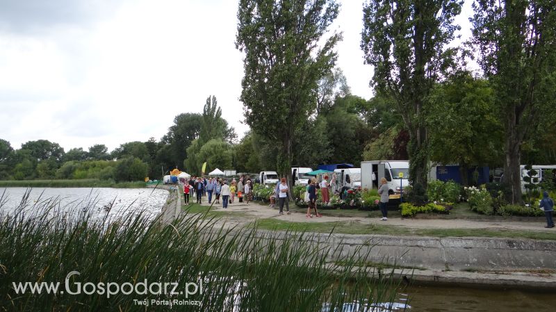 Pałuckie Targi Rolne 2014