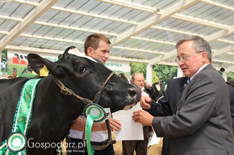 Czempioni XVII Regionalnej Wystawy Zwierząt Hodowlanych Sielinko 2011