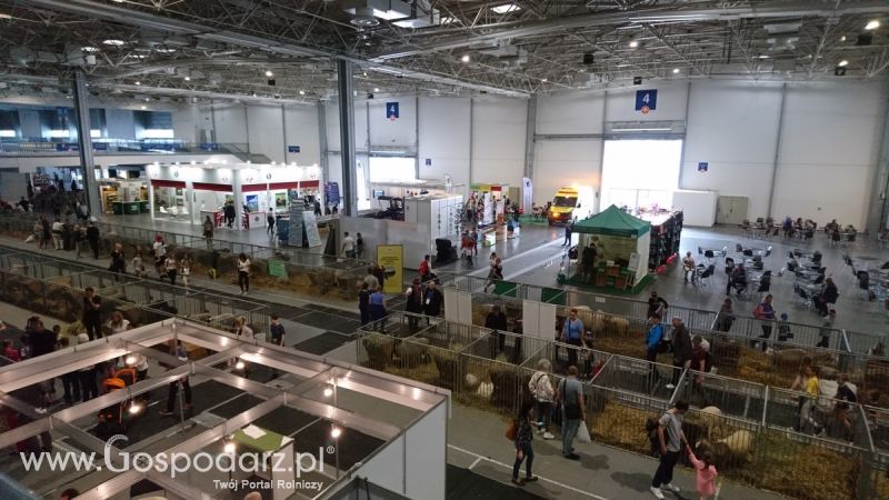 Narodowa Wystawa Zwierząt Hodowlanych 2019