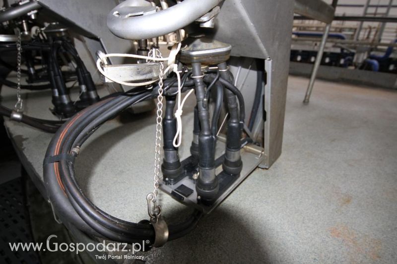 Wyjazd studyjny na farmę Langengrassau w Niemczech