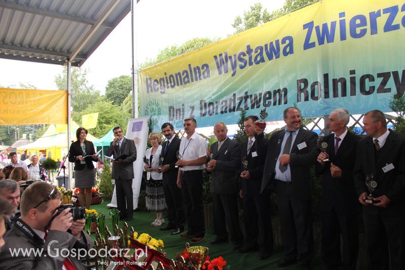 Wręczenie nagród na XVIII Regionalnej Wystawie Zwierząt Hodowlanych w Szepietowie
