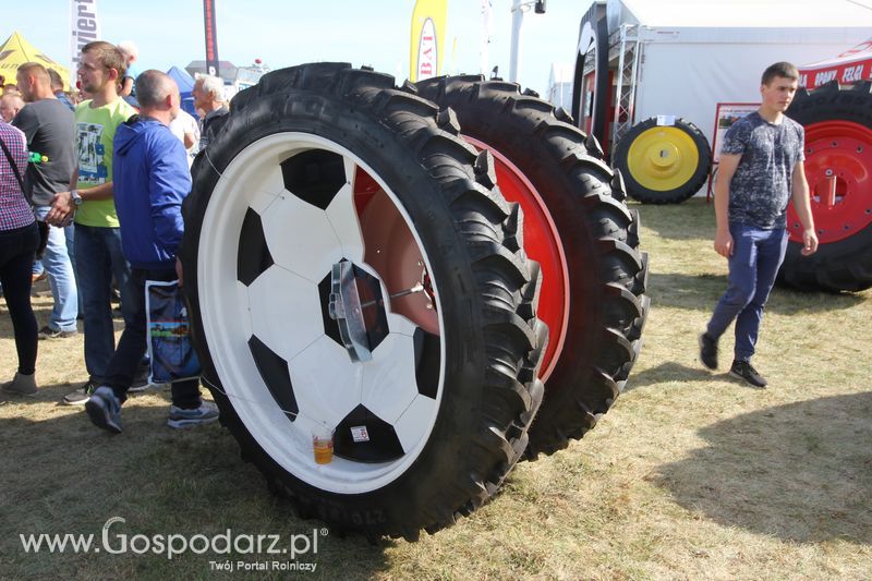 AGRO SHOW Bednary 2016 - Niedziela