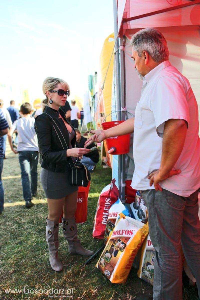 Dolfos na Agro Show w Bednarach