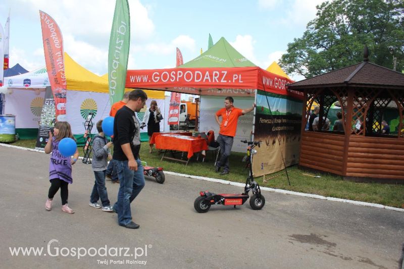 Regionalna Wystawa Zwierząt Hodowlanych i Dni z Doradztwem Rolniczym w Szepietowie-sobota