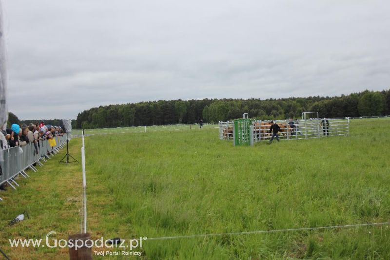 Polskie Zboża i Zielone Agro Show 2013