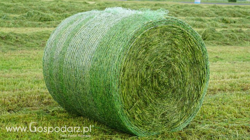 ZIELONE AGRO SHOW 2017 w Ułężu