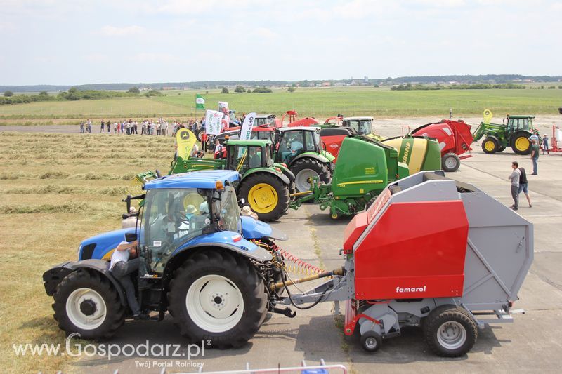Opolagra 2011