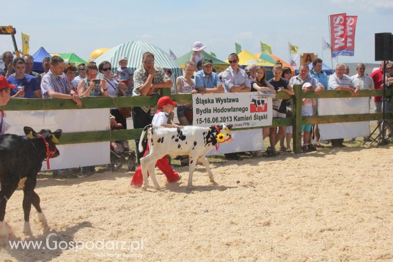 Opolagra 2013 cz.2
