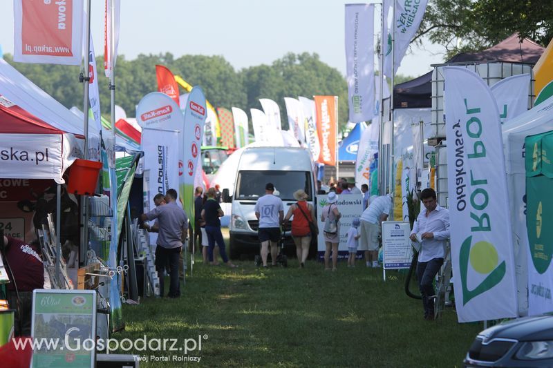 Regionalna Wystawa Zwierząt Hodowlanych W Szepietowie 2016 z Gospodarz.pl