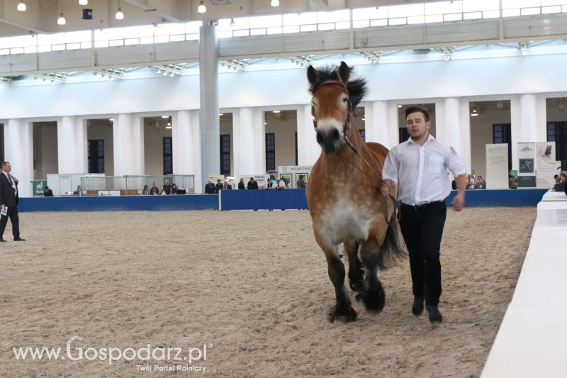 Krajowa Wystawa Zwierząt Hodowlanych w Poznaniu 2017 (piątek, 5 maja)