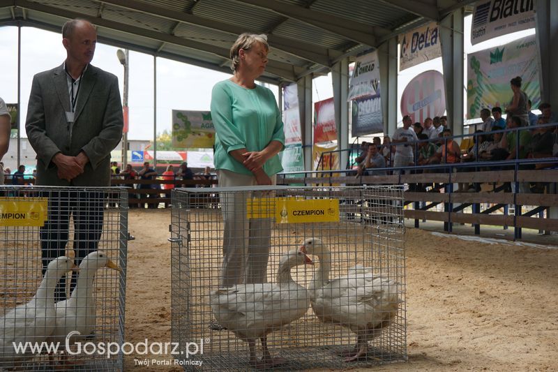 Wystawa zwierząt w Szepietowie