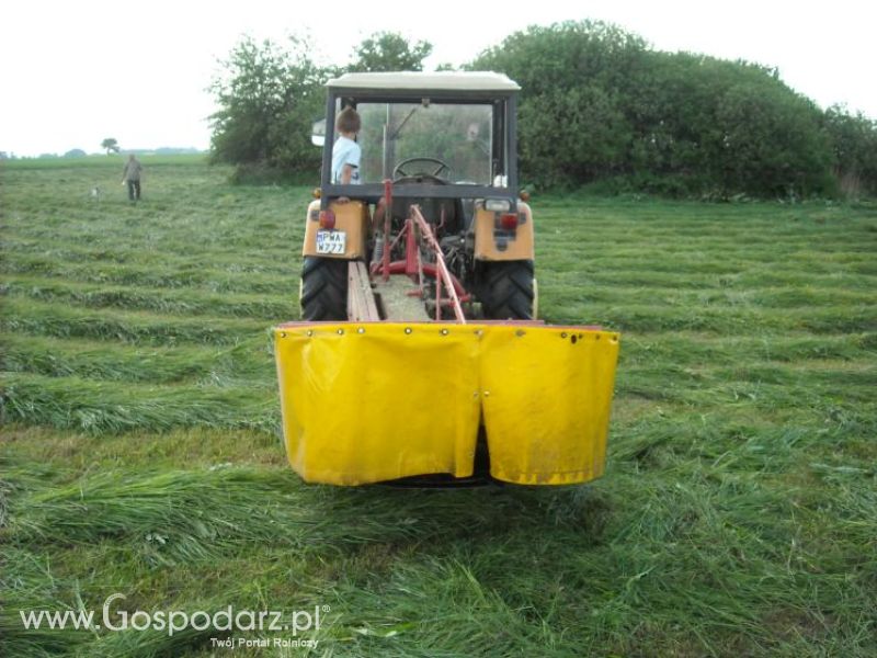 pierwsze sianokosy w roli głownej ursus c330M...