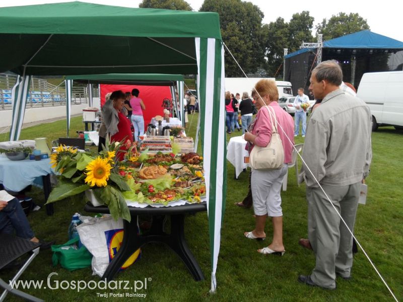 II Festiwal Wieprzowiny w Kwidzyniu