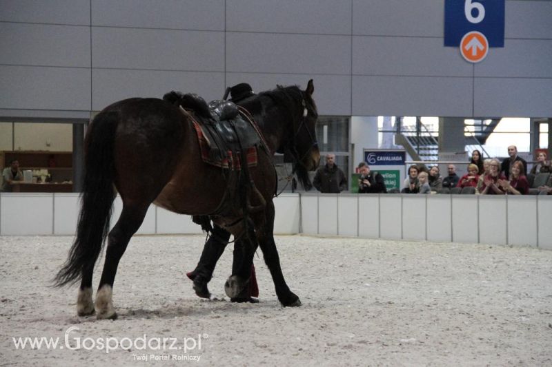 CAVALIADA 2013 w Poznaniu