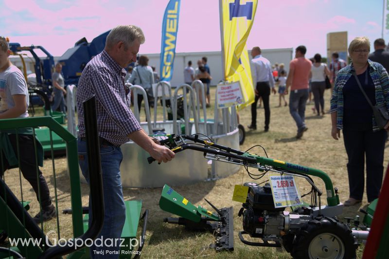 Kellfri na OPOLAGRZE 2016