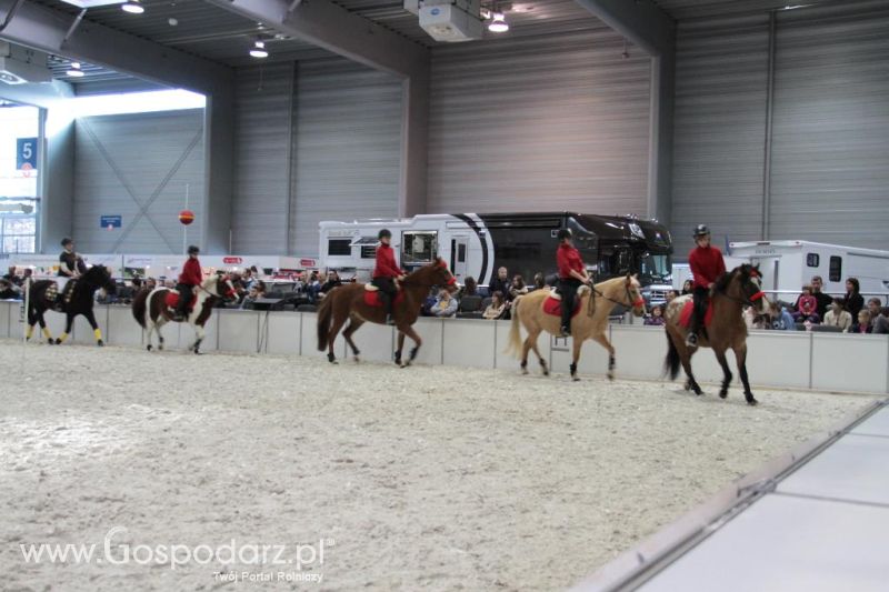 CAVALIADA 2013 w Poznaniu