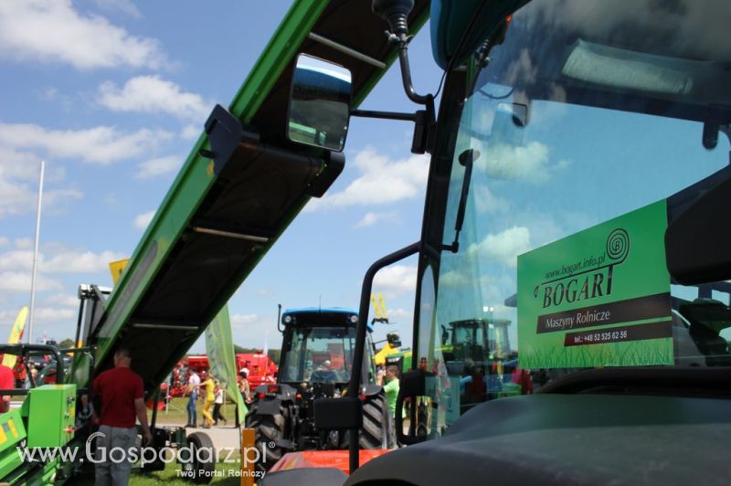 Bogart  - Minikowo 2012