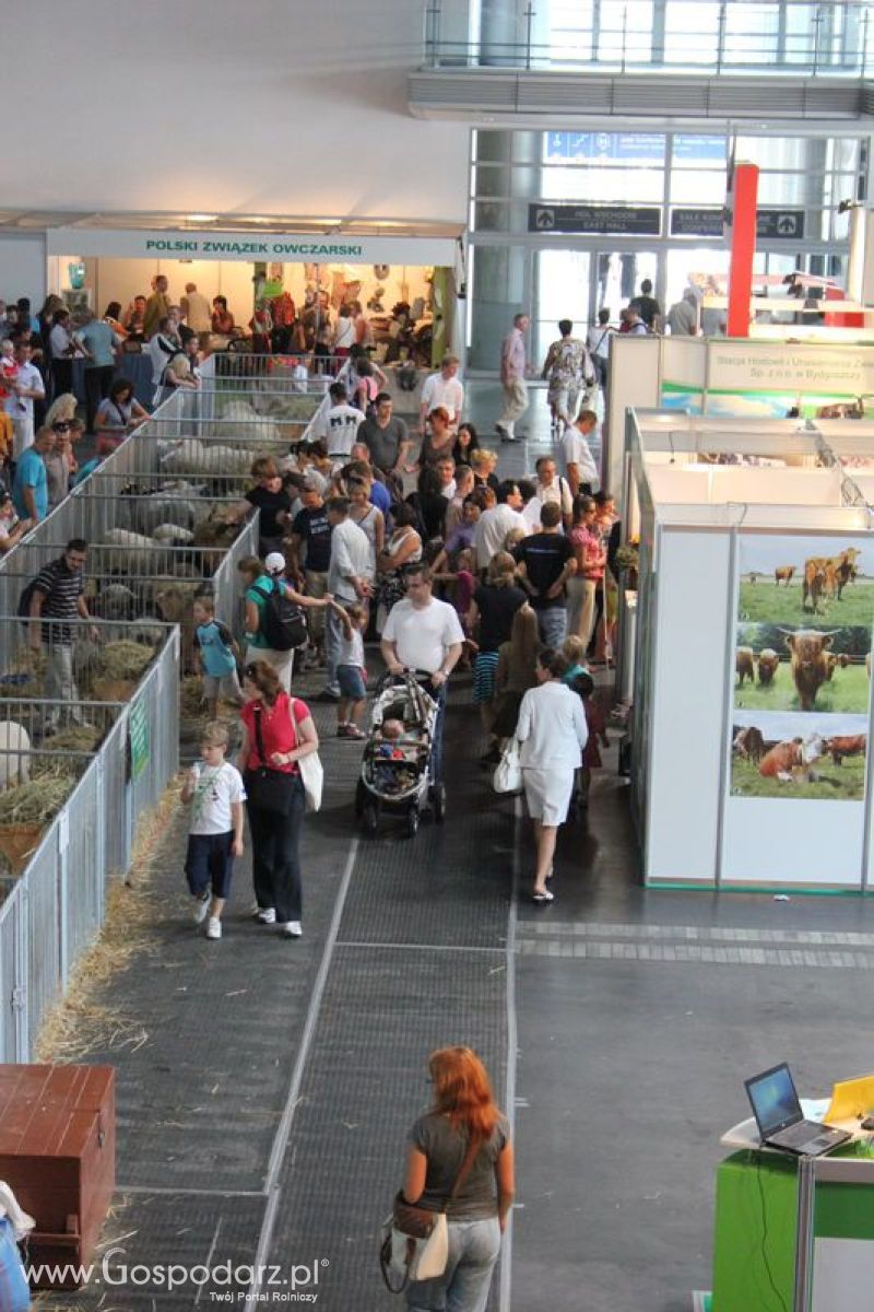 XXV Krajowa Wystawa Zwierząt Hodowlanych Niedziela