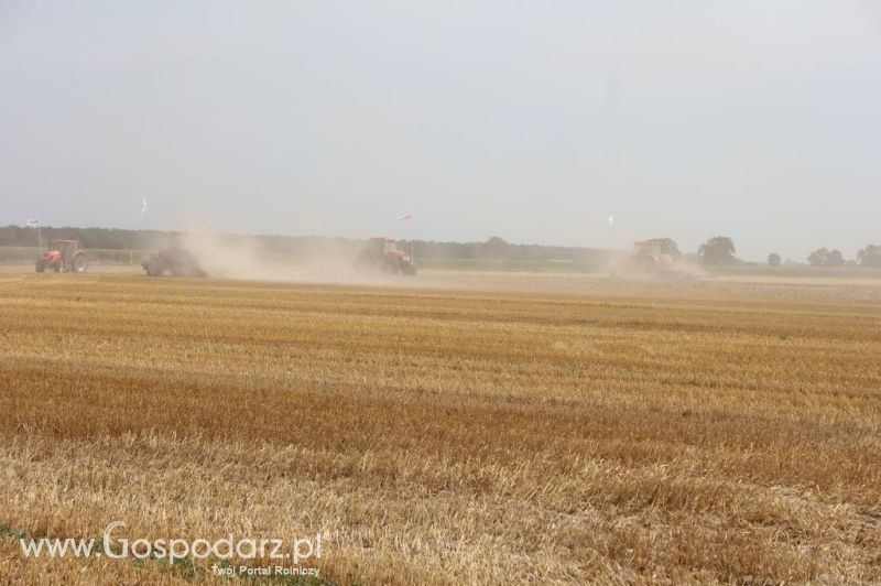 ZETOR FAMILY TRACTOR SHOW 2012 - Tursko k/Kalisza