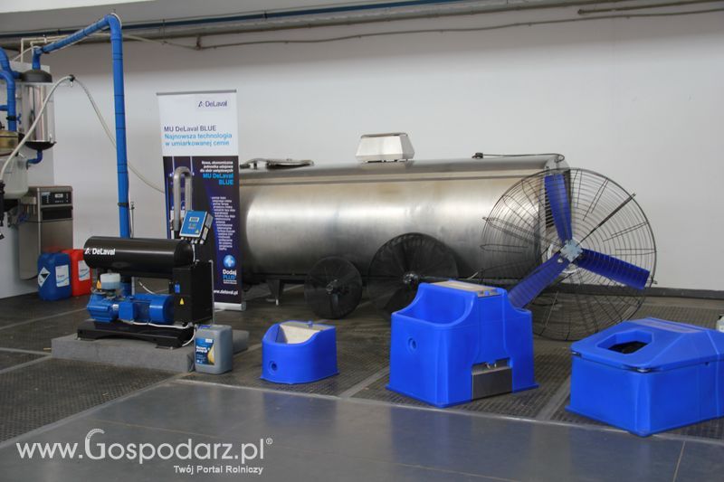 KWZH 2015 piątek