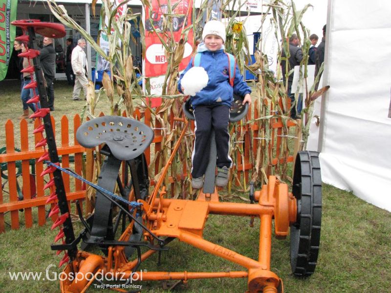 Agro Show 2013 Bednary Zdjęcie z krówką