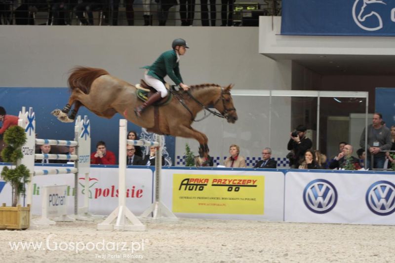 CAVALIADA 2013 w Poznaniu