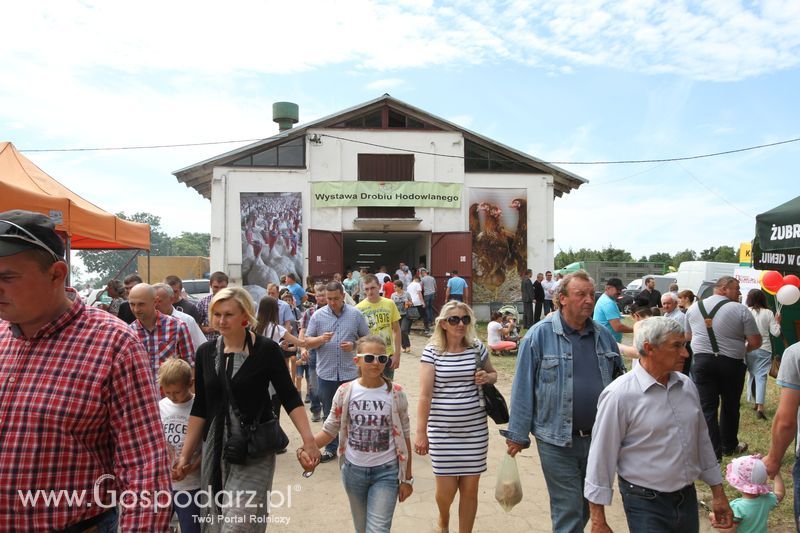 Targi rolne w Szepietowie (27-28.06.2015)