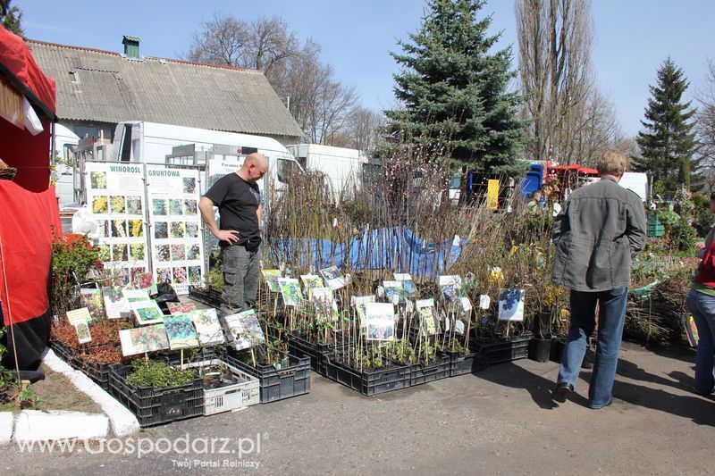 XX Agro-Targi 2011 w Starej Łubiance