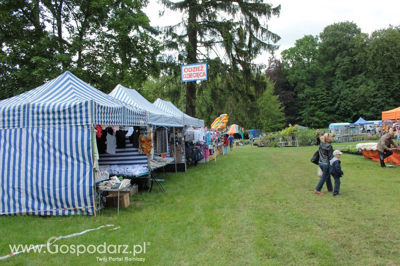 XX Targi Rolnicze Lubniewice 