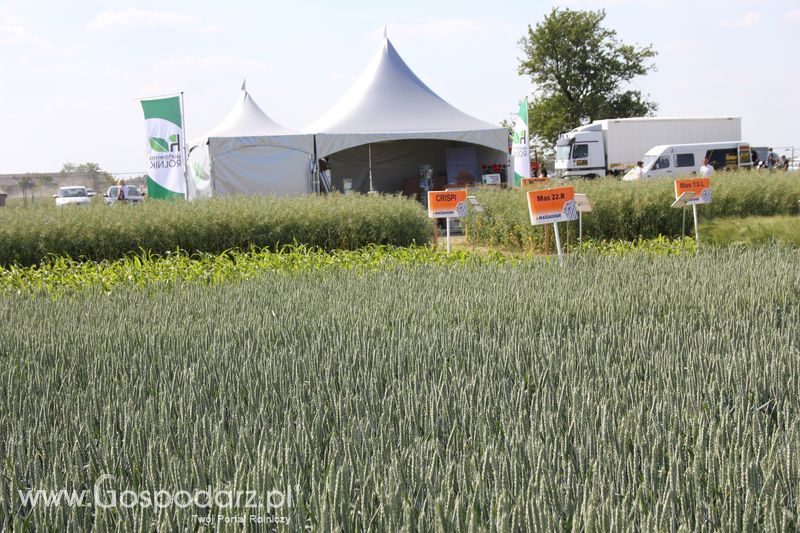 Polskie Zboża 2011 - Sobota