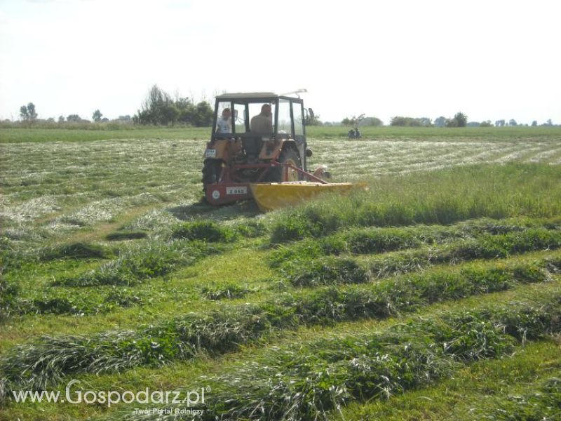 pierwsze sianokosy w roli głownej ursus c330M...