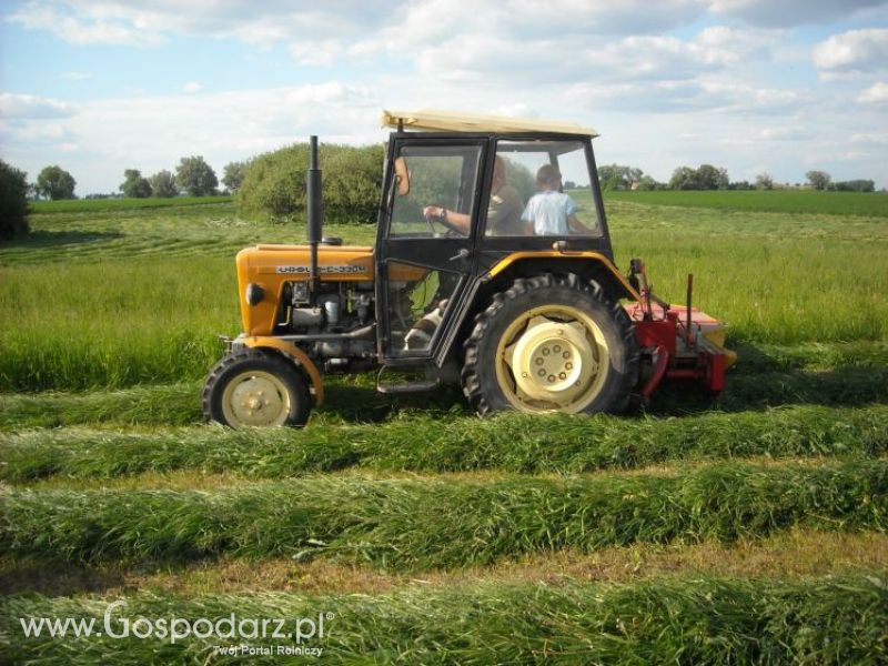 pierwsze sianokosy w roli głownej ursus c330M...