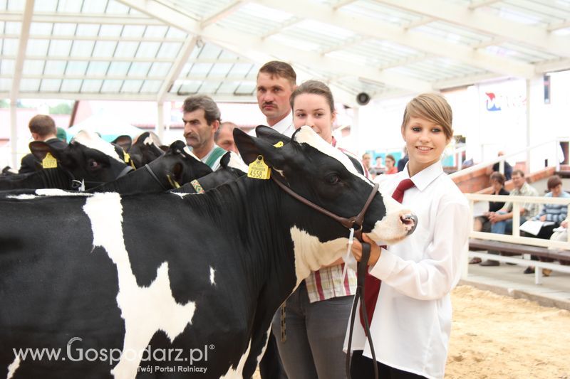 Wystawa bydła Sielinko 2011