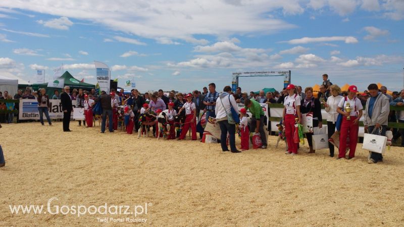 Opolagra 2014 okiem Redaktora Portalu Gospodarz.pl