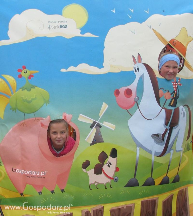 Zdjęcia ze świnką na Agro Show 2012 niedziela