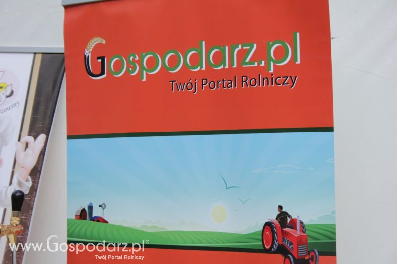 II Festiwal Wieprzowiny w Wąbrzeźnie
