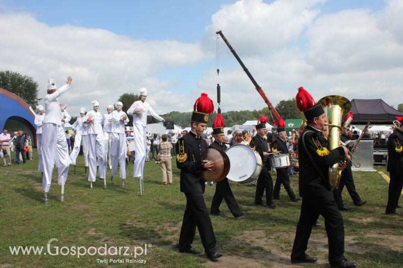 Świętomięs Polski w Chorzowie