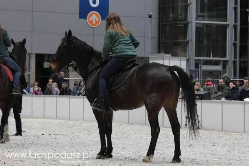 CAVALIADA 2013 w Poznaniu
