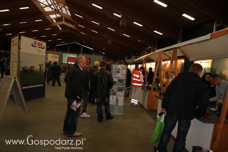 Wystawa  Blickpunkt Rind 2013 w miejscowości Paaren/Glien (Niemcy)