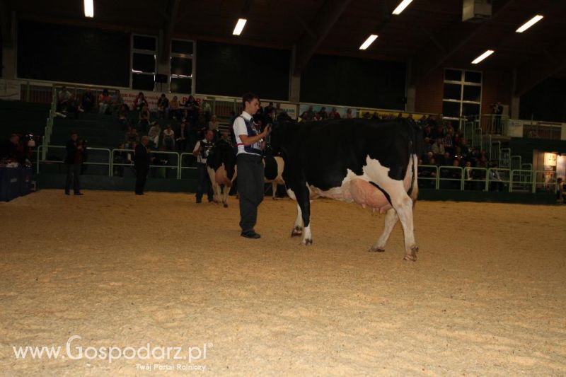 Wystawa  Blickpunkt Rind 2013 w miejscowości Paaren/Glien (Niemcy)