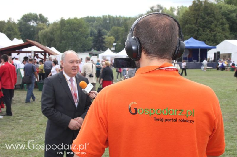 Świętomięs Polski w Chorzowie