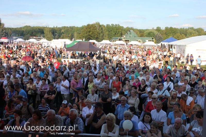 Świętomięs Polski w Chorzowie