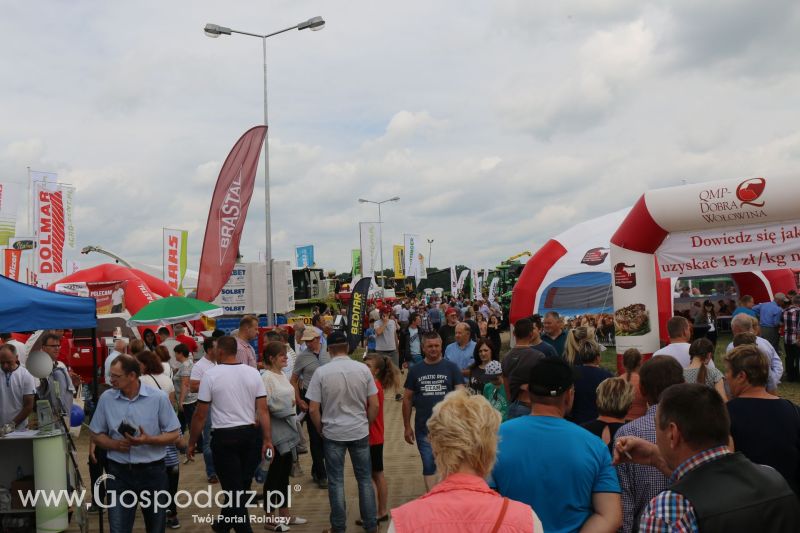 Regionalna Wystawa Zwierząt Hodowlanych i Dni z Doradztwem Rolniczym w Szepietowie 2017
