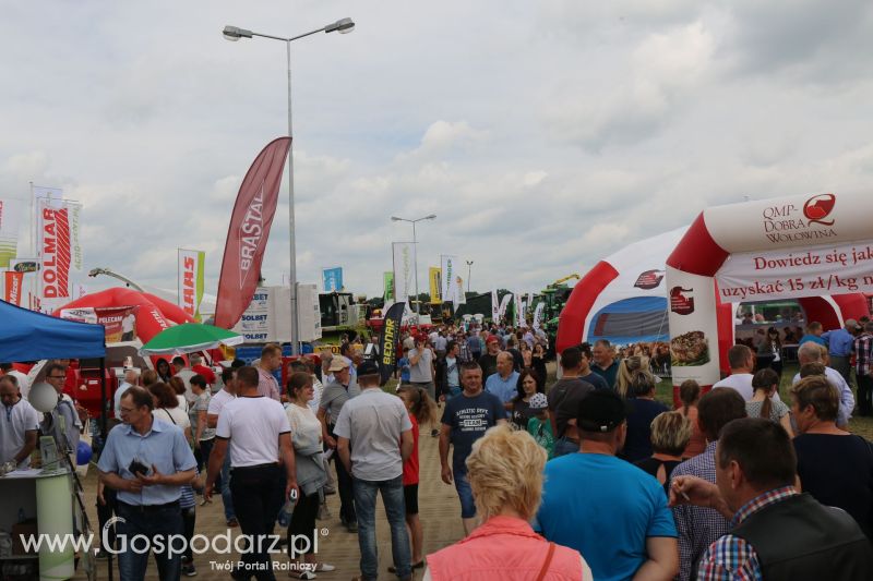 Regionalna Wystawa Zwierząt Hodowlanych i Dni z Doradztwem Rolniczym w Szepietowie 2017