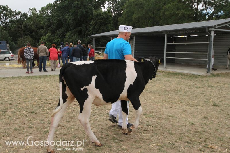 Agro-Tech Minikowo 2018