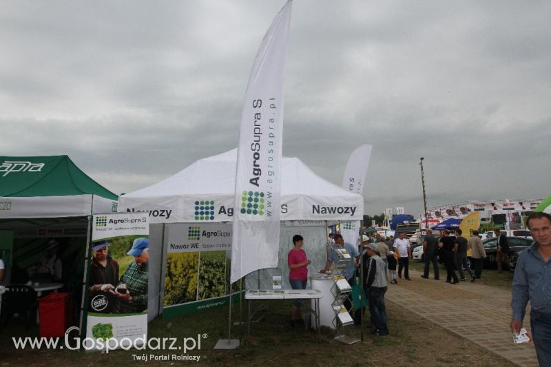VIII Ogólnopolska Wystawa Bydła Hodowlanego, XXI Regionalna Wystawa Zwierząt Hodowlanych i Dni z Doradztwem Rolniczym w Szepietowie