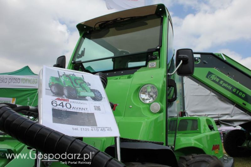 Serafin na Opolagrze 2013