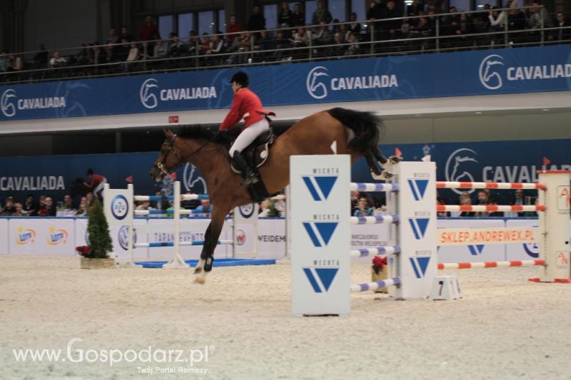 CAVALIADA 2013 w Poznaniu