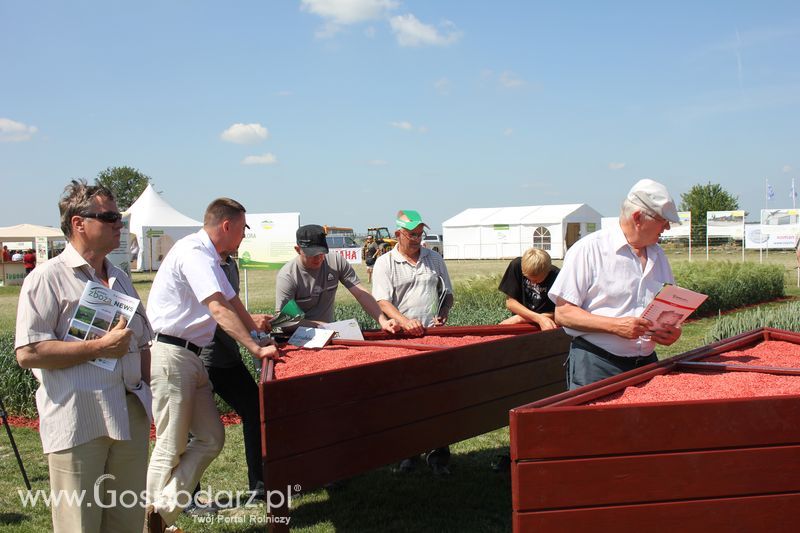 Polskie Zboża 2011 - Sobota